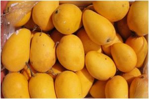 Fresh Badami Mango