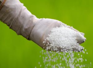 Prilled Urea