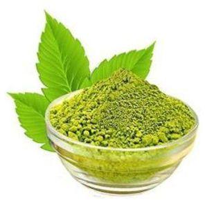 tulsi leaves powder