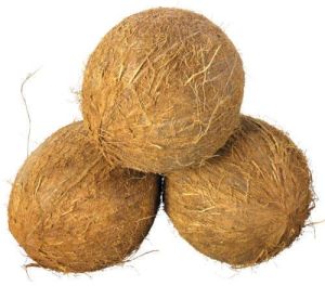 Fully Husked Brown Coconut