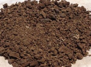 cow dung powder