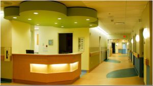 Hospital Interior Designing Service