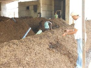 Mushroom Composting Consultancy Service