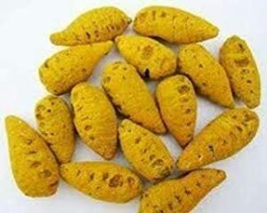 Organic Turmeric Bulb