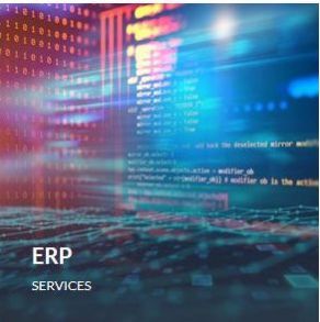 Erp Services