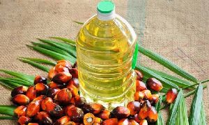 Palm Oil