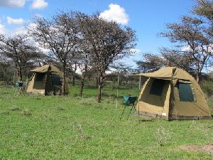 Camping Dome Tents