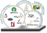 custom application development services