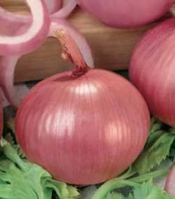 Fresh Pink Onion