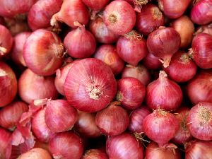 Fresh Red Onion