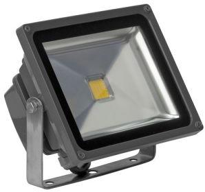 LED COB Flood Light