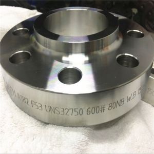 Stainless Steel Sorf Flanges