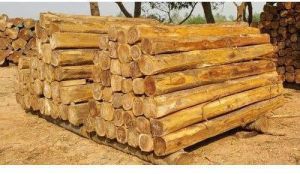 Teak Wood Logs