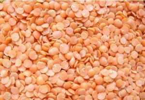 Indian Red Lentils