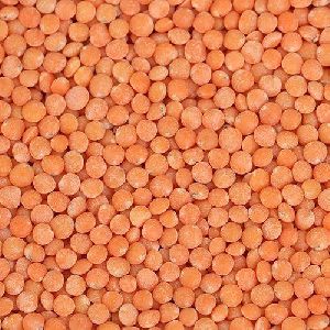 Organic Red Lentils