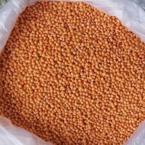 Red Masoor Dal