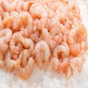 Fresh Medium Prawns