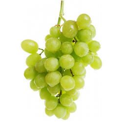 fresh seedless grapes