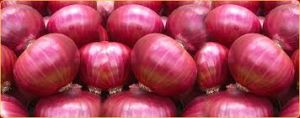 Red Onion