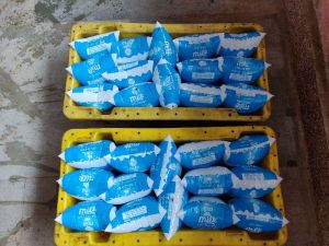 Milk Packaging and Distribution Services