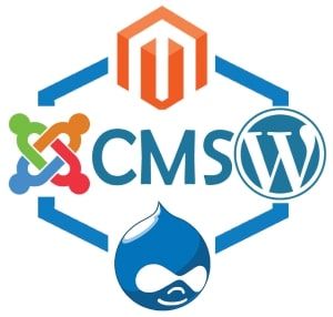 CMS Development