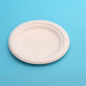 Bagasse Disposable Plate