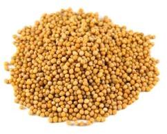 Mustard Seeds