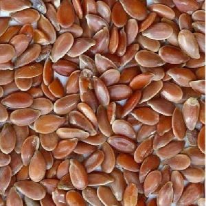 Flax Seeds