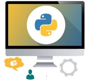 python development services