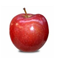 Red Prince Apple