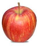 Striped Gala Apple