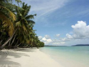 ANDAMAN TOUR PACKAGES