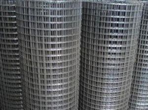 GI Wire Mesh