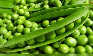 Fresh Peas