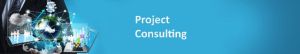 project consulting