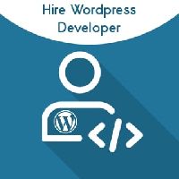 Hire WordPress Developer