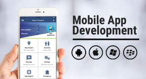 Application Development Services