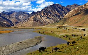 Ladakh With Zanskar Valley Package