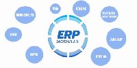 SAP-ERP Training Service