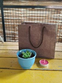 Blue ceramic cup with succulent and paper gift bag