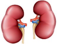 Nephrological Treatment