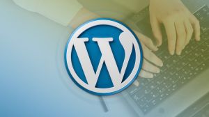 WordPress Development Services