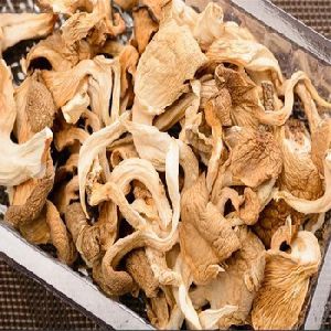 Dry Oyster Mushroom