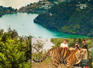 Hire Tempo Traveller for Nainital with Jim Corbett Tour Package