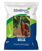 Hybrid Roja Green Chilli Seeds