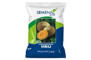 Muskmelon - VIRAJ