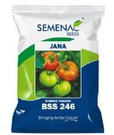 jana tomato seed