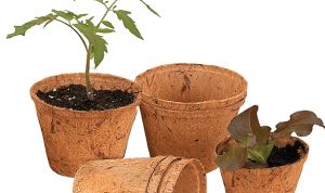 Coir Pots