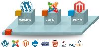 Cms Web Development Services