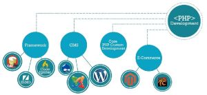 php web development services